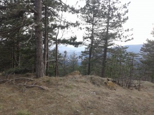 20150412_180014