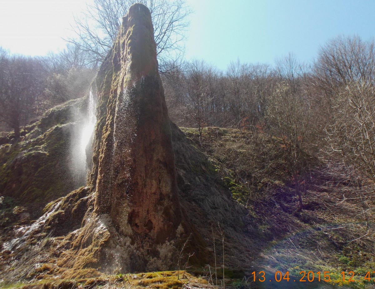 DSCN2314