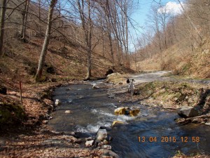 DSCN2329