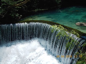 DSCN2459