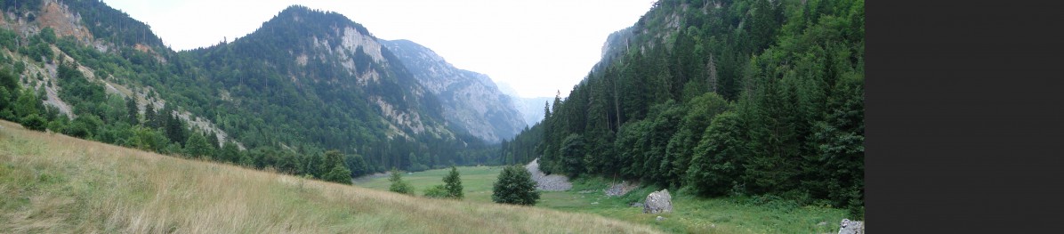 DSC04071