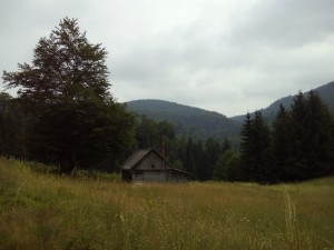 PHOTO_20150726_172417