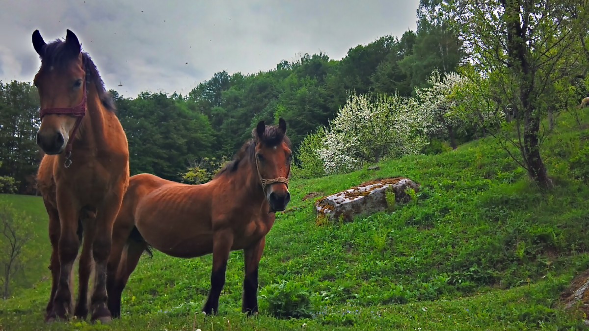 2013-05-06_13-34-25_HDR