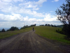 DSC03358