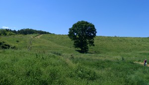 IMG_20160522_133103