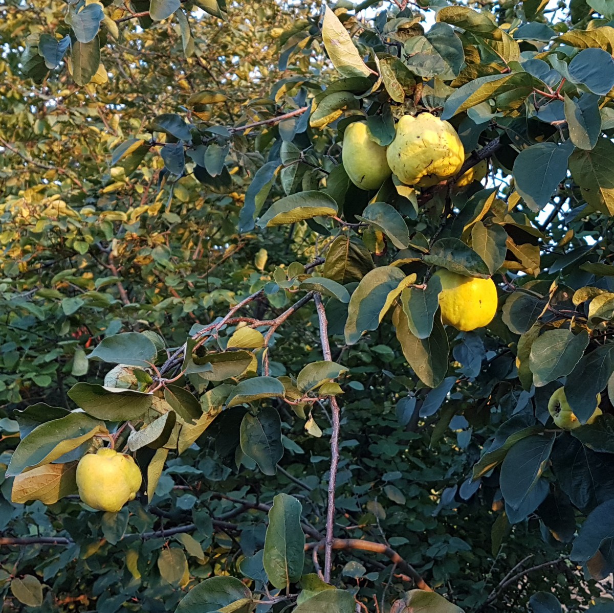 20170923_201041