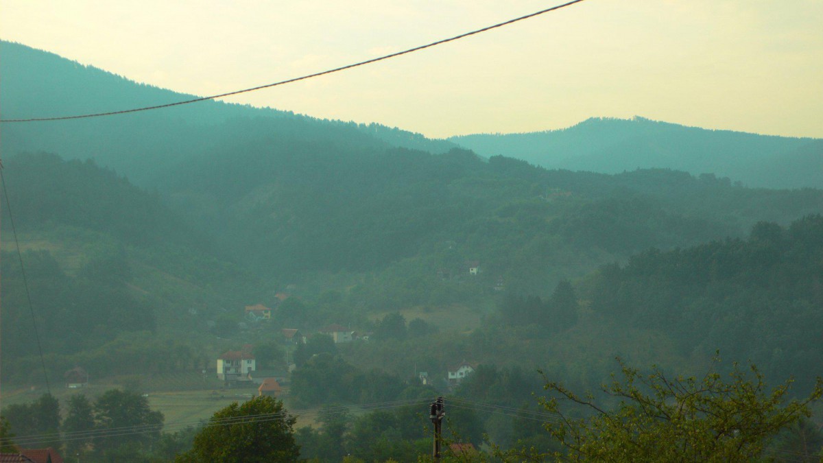 P1010039