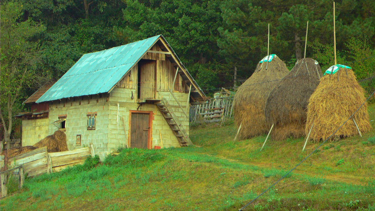 P1010037