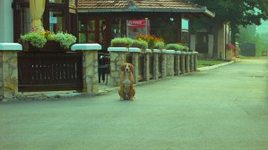 P1010047