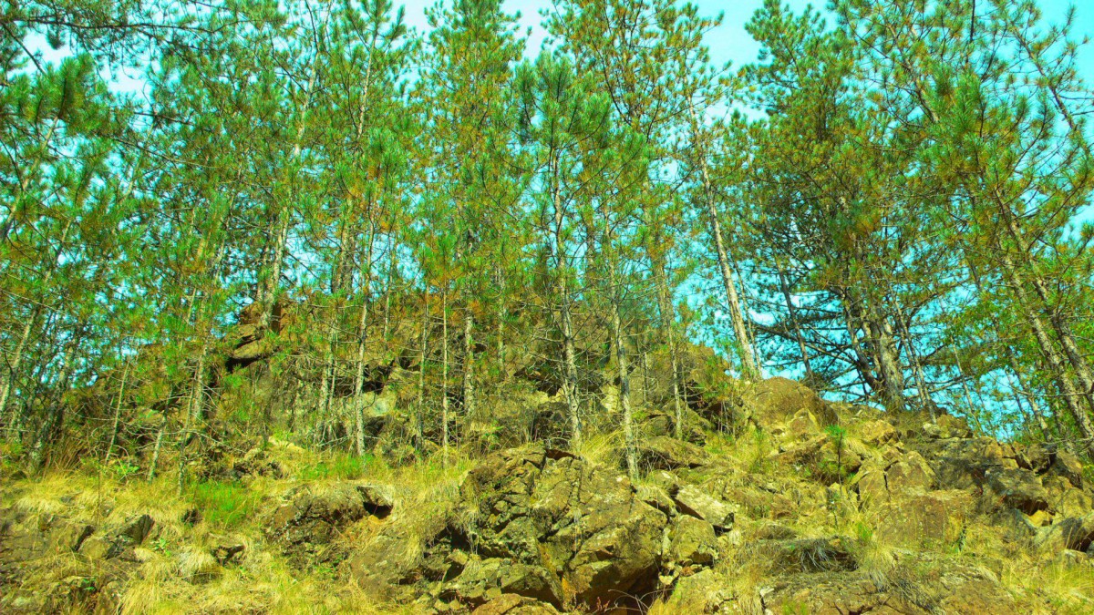 P1010063