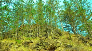 P1010063