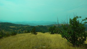 P1010085