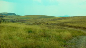 P1010099