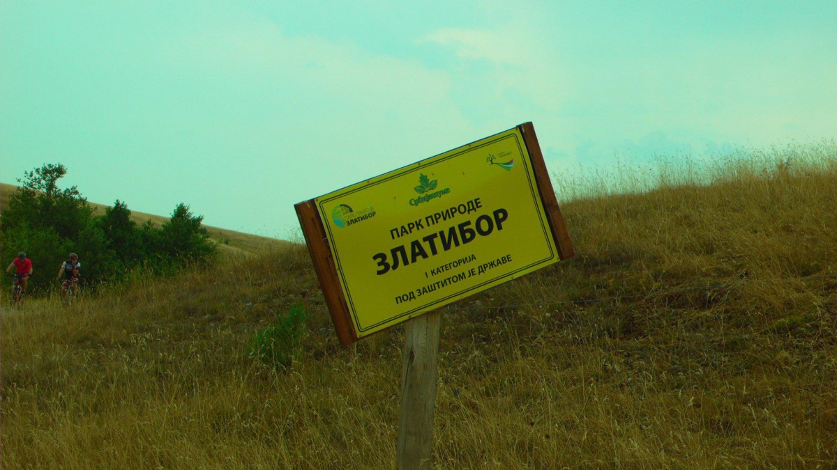 P1010107