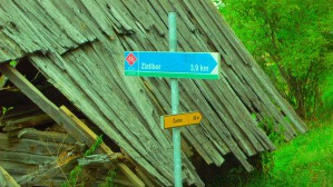 P1010110