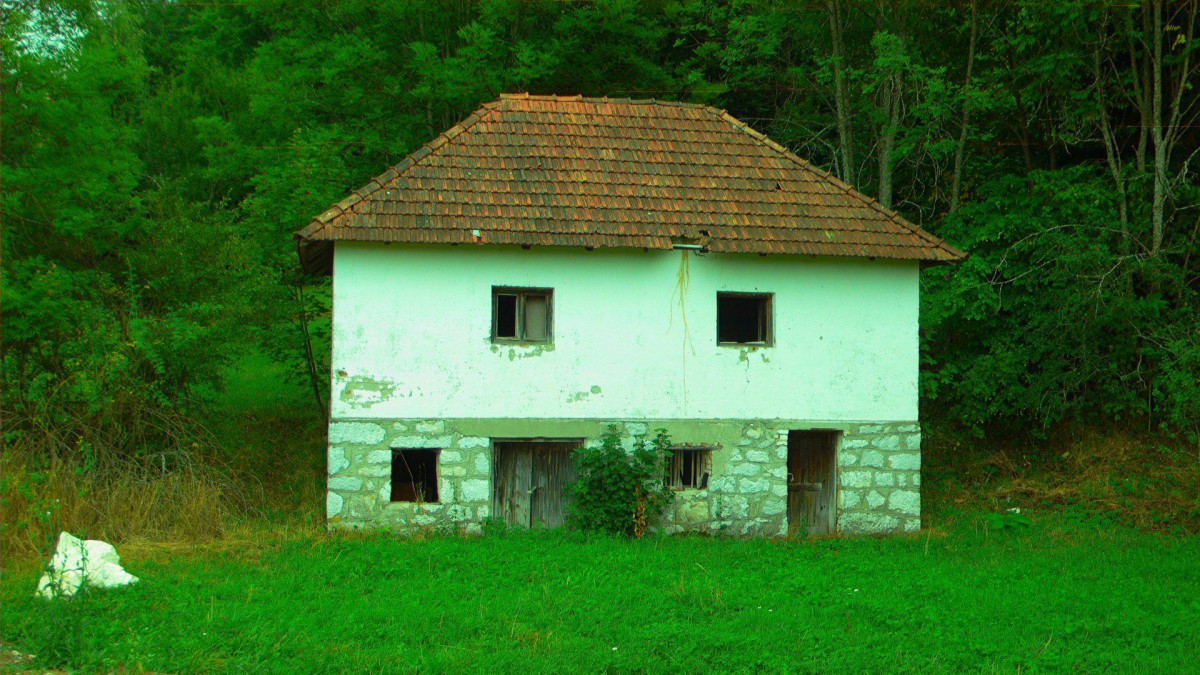 P1010111