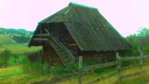 P1010115