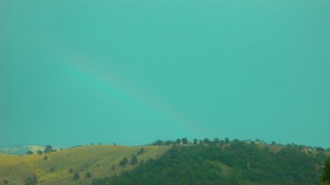 P1010121