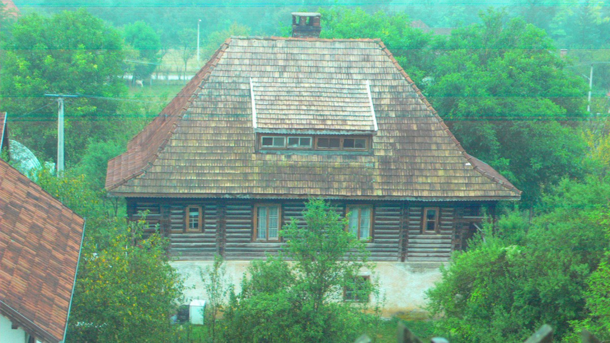 P1010135