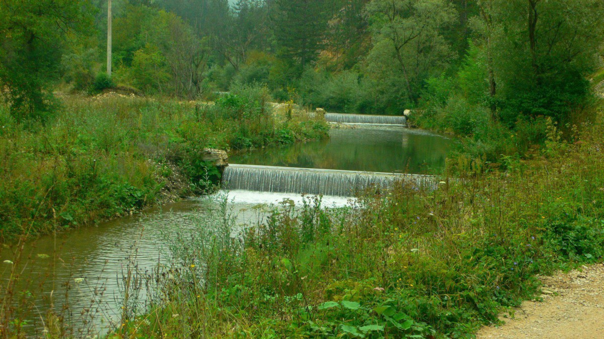 P1010137