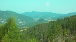 P1010148