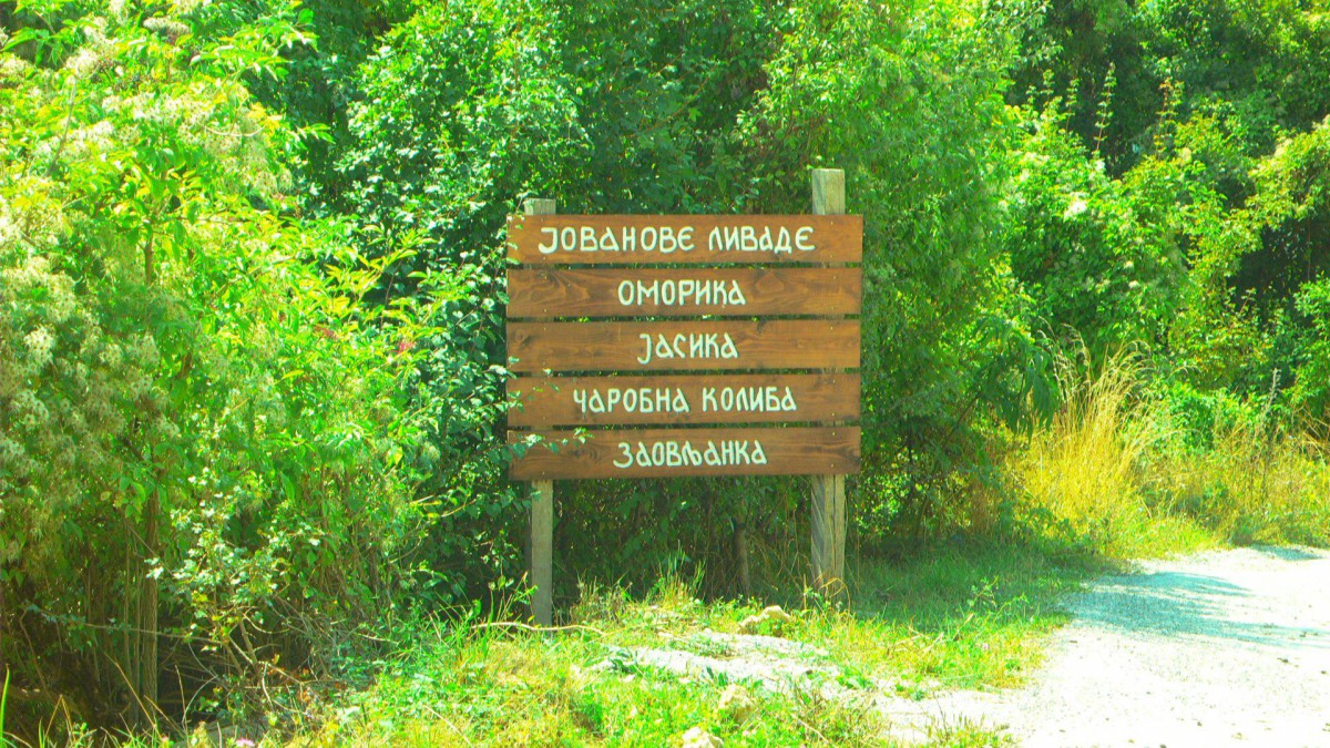 P1010161