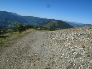 IMG_0282_resize