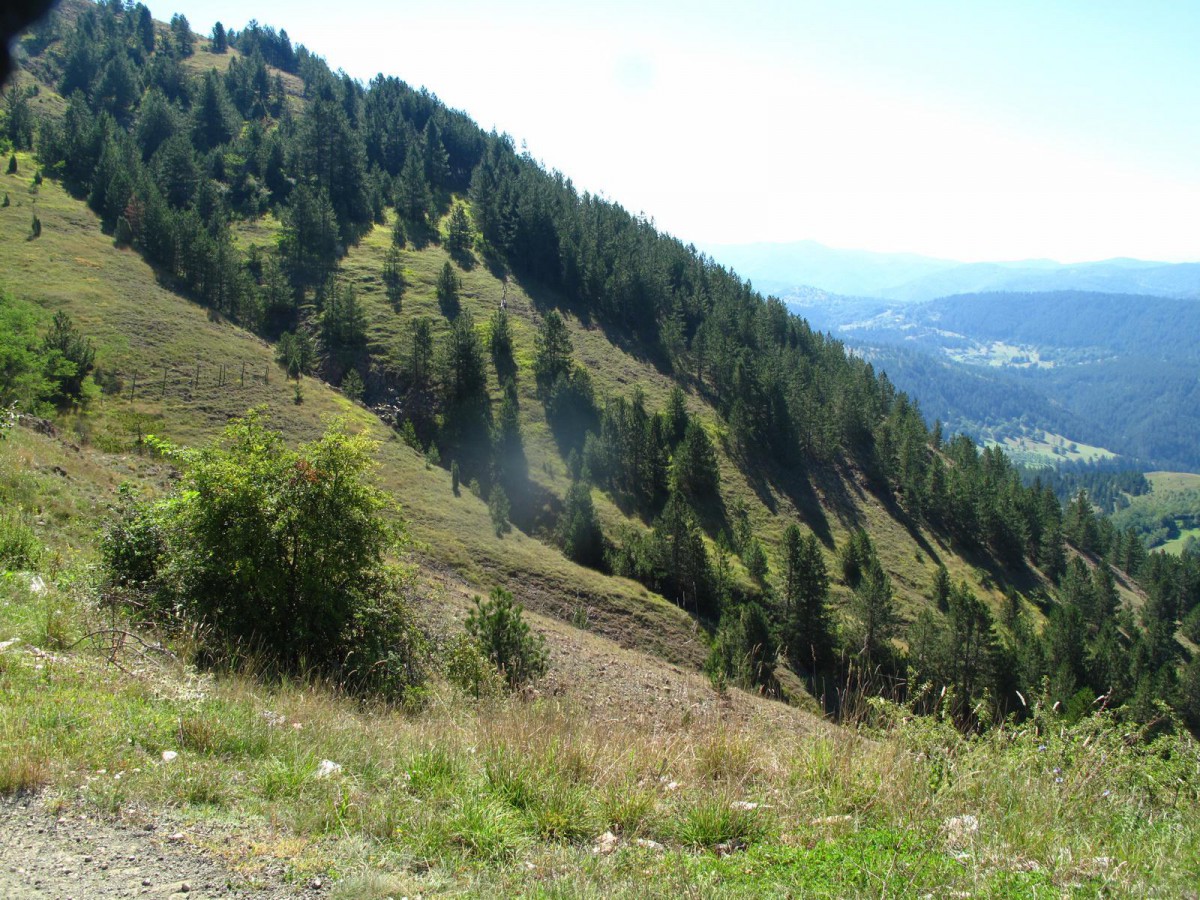IMG_0281_resize