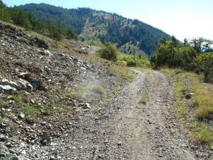IMG_0279_resize