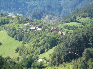 IMG_0283_resize
