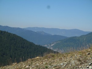 IMG_0288_resize