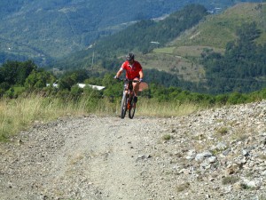 IMG_0291_resize