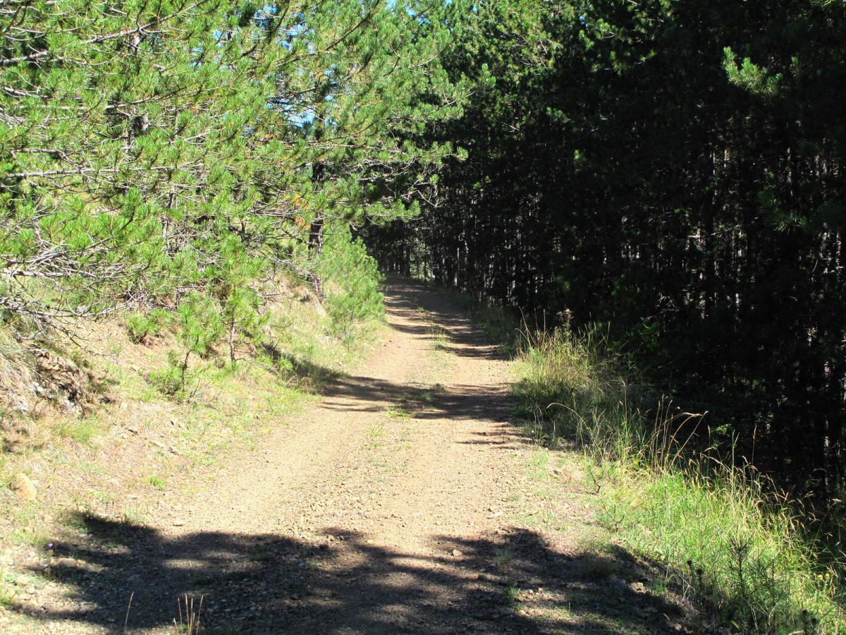 IMG_0296_resize