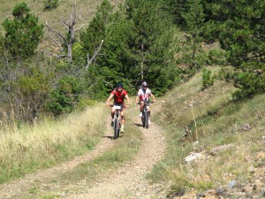 IMG_0301_resize