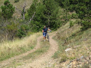 IMG_0305_resize