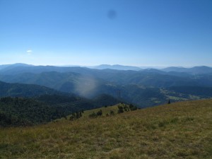 IMG_0310_resize
