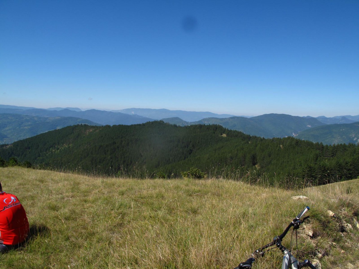 IMG_0312_resize