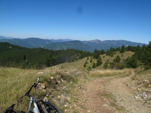 IMG_0313_resize