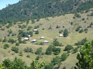 IMG_0319_resize
