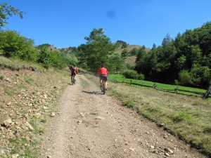 IMG_0324_resize
