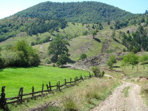 IMG_0328_resize