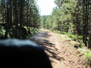 IMG_0343_resize