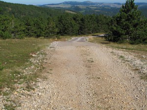 IMG_0350_resize