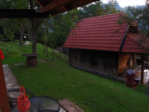 IMG_0260_resize