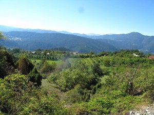 IMG_0275_resize
