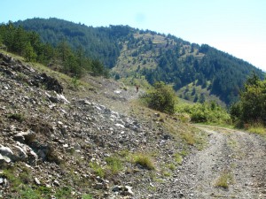 IMG_0276_resize