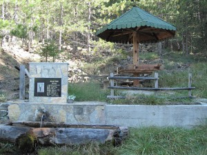 IMG_0357_resize