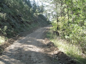 IMG_0360_resize