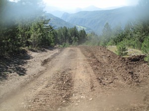 IMG_0362_resize