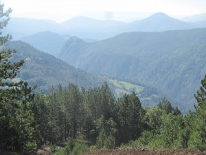IMG_0364_resize